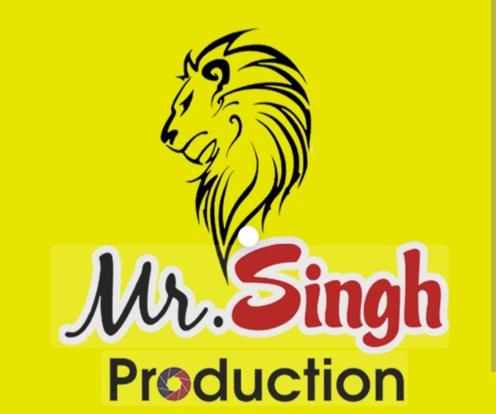 Mr Singh brand